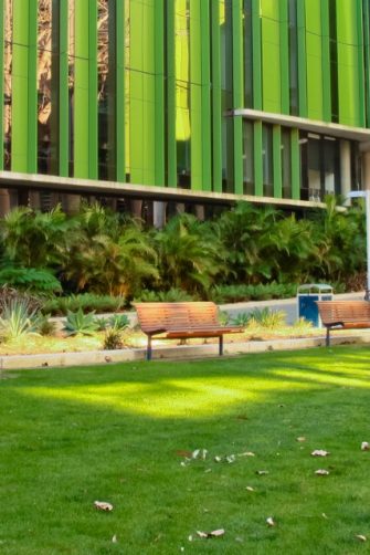 UNSW students medicine lawn