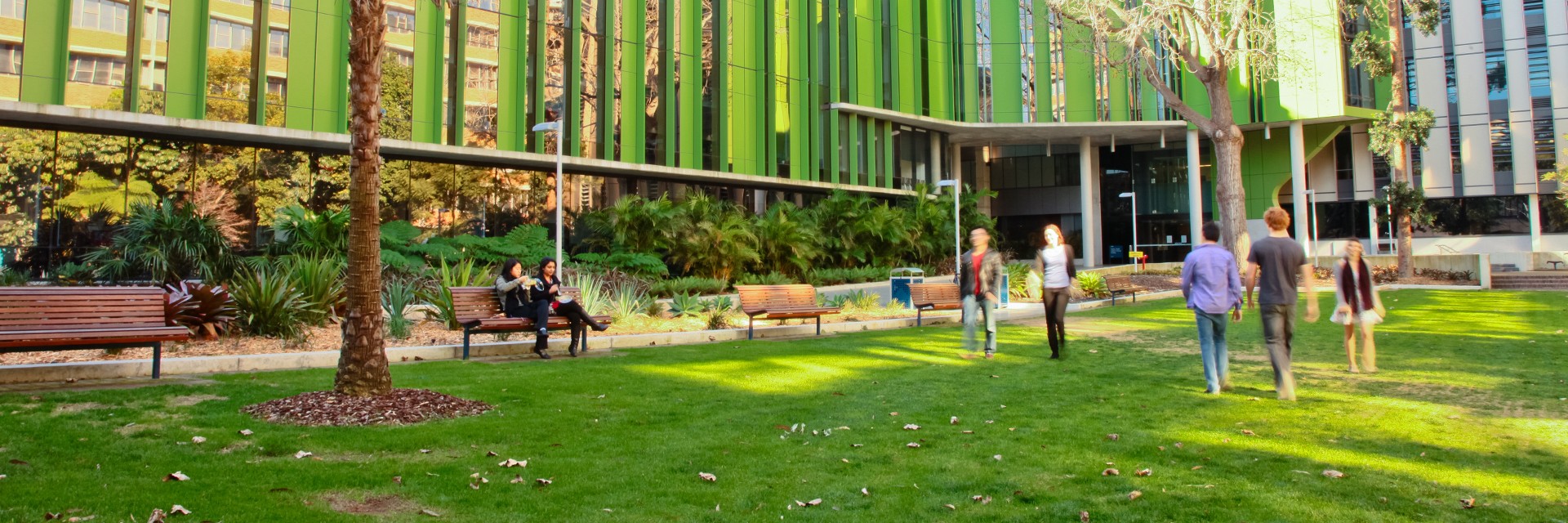 UNSW students medicine lawn