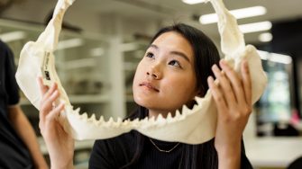 Students learning in the Science facilities at the UNSW Kensington campus