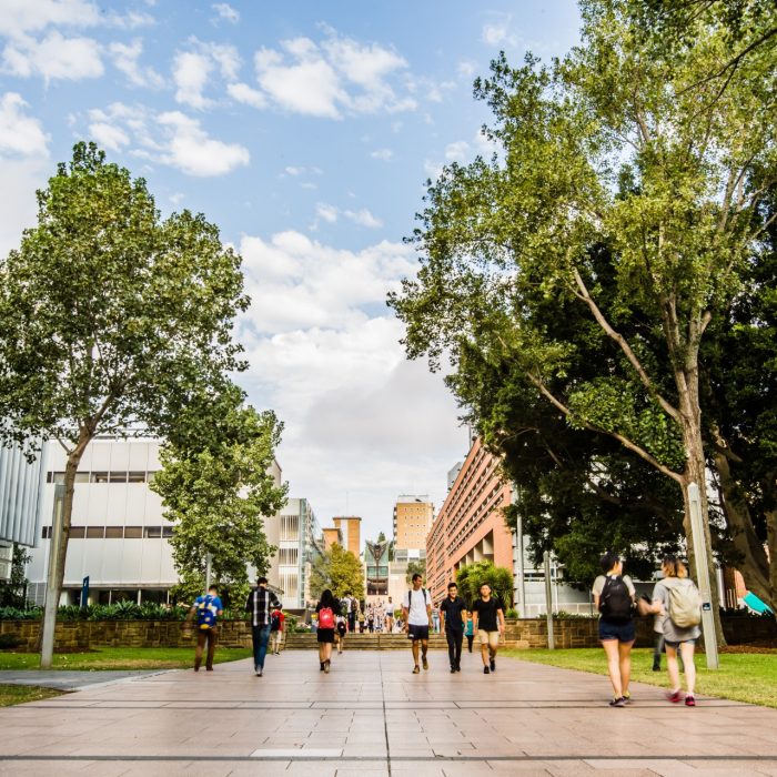 UNSW main campus walkway UNSW main campus walkway