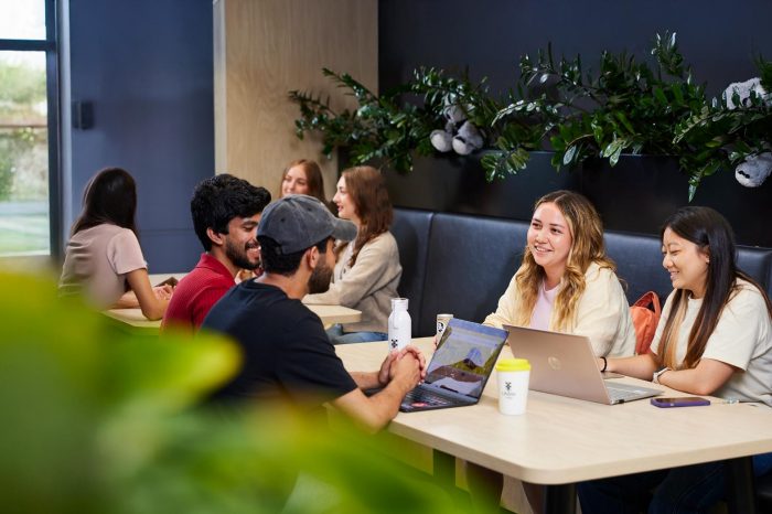 Students in the Student Hub working on laptops