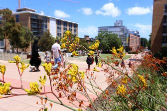 UNSW Kensington campus
