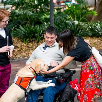 Welfare and Disability | UNSW College