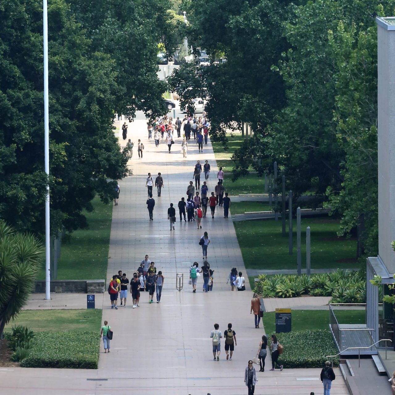 UNSW Kensington campus