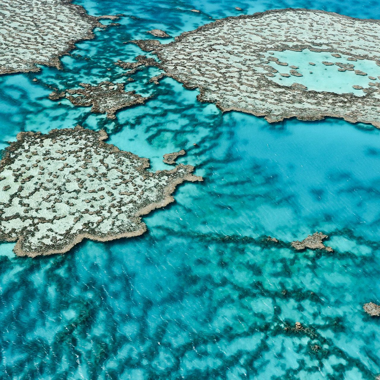 Great Barrier Reef