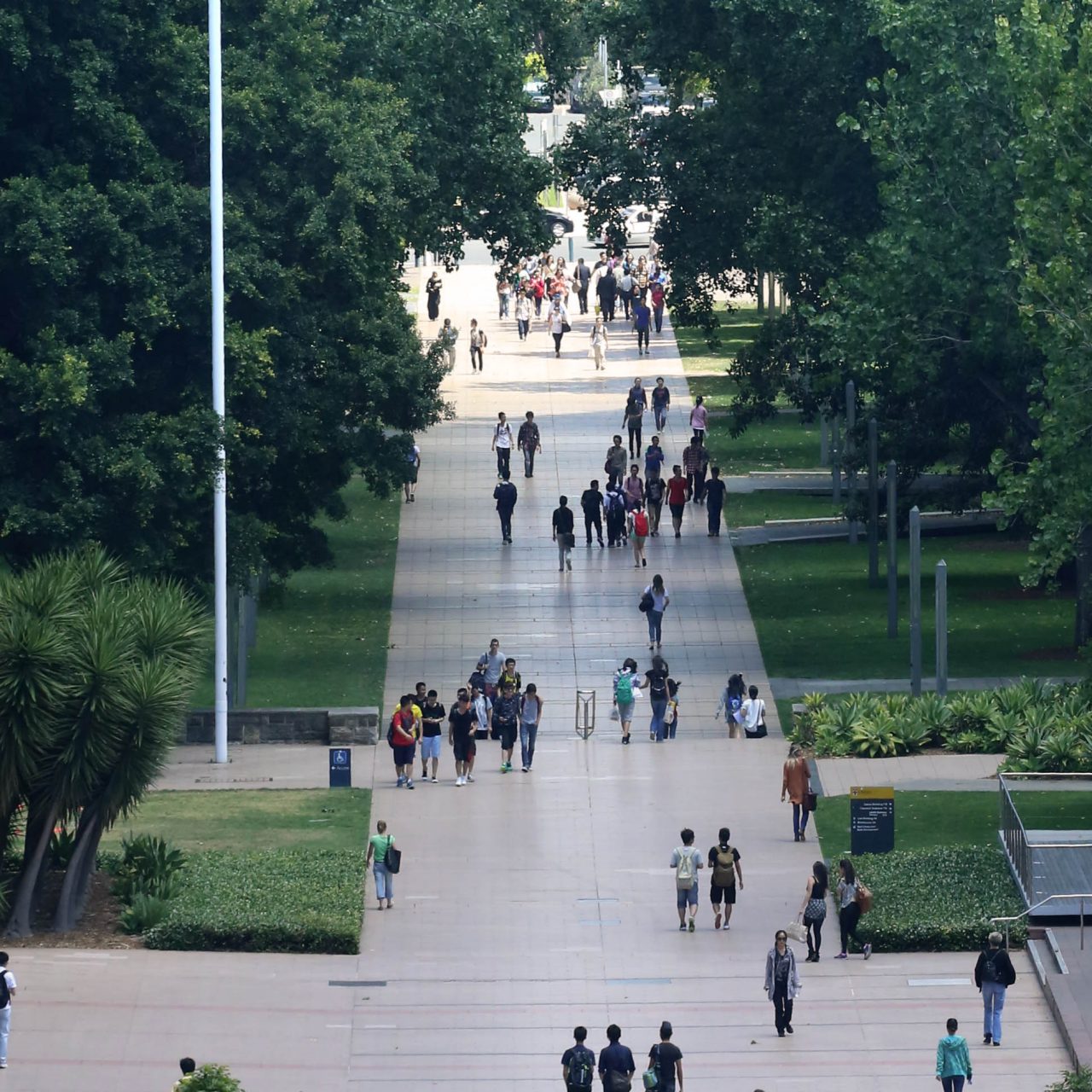 UNSW Kensington campus