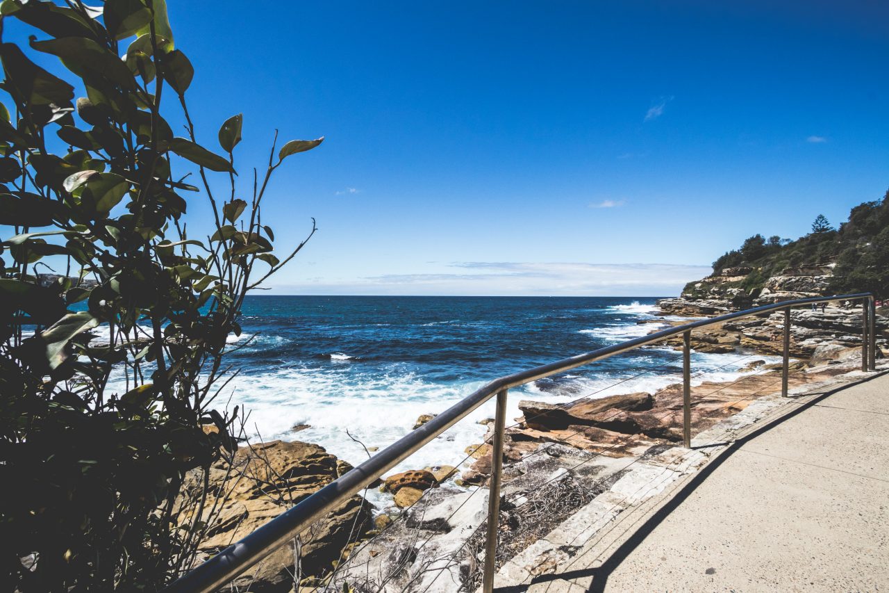 Sydney coastal walking track