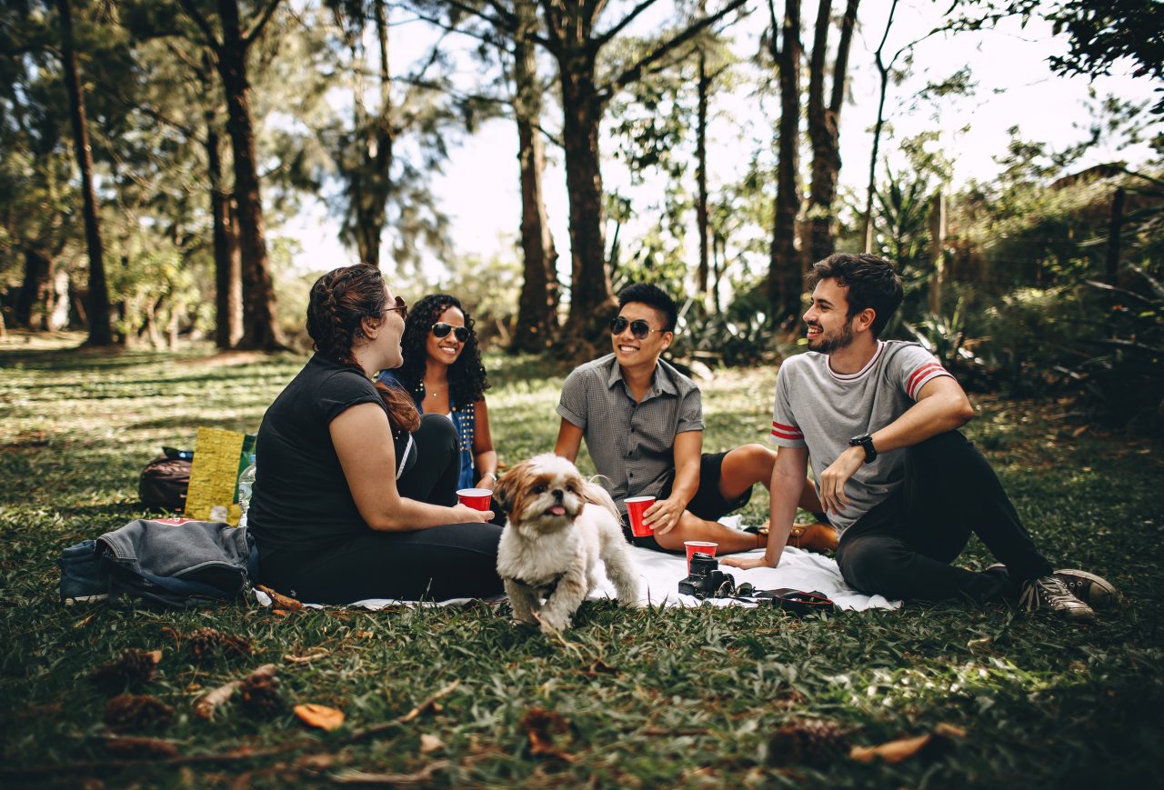 Friends having a picnic in the park