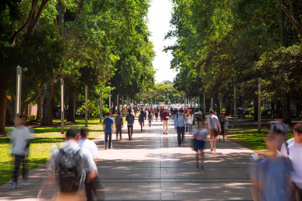Main walkway on the UNSW Kensington campus