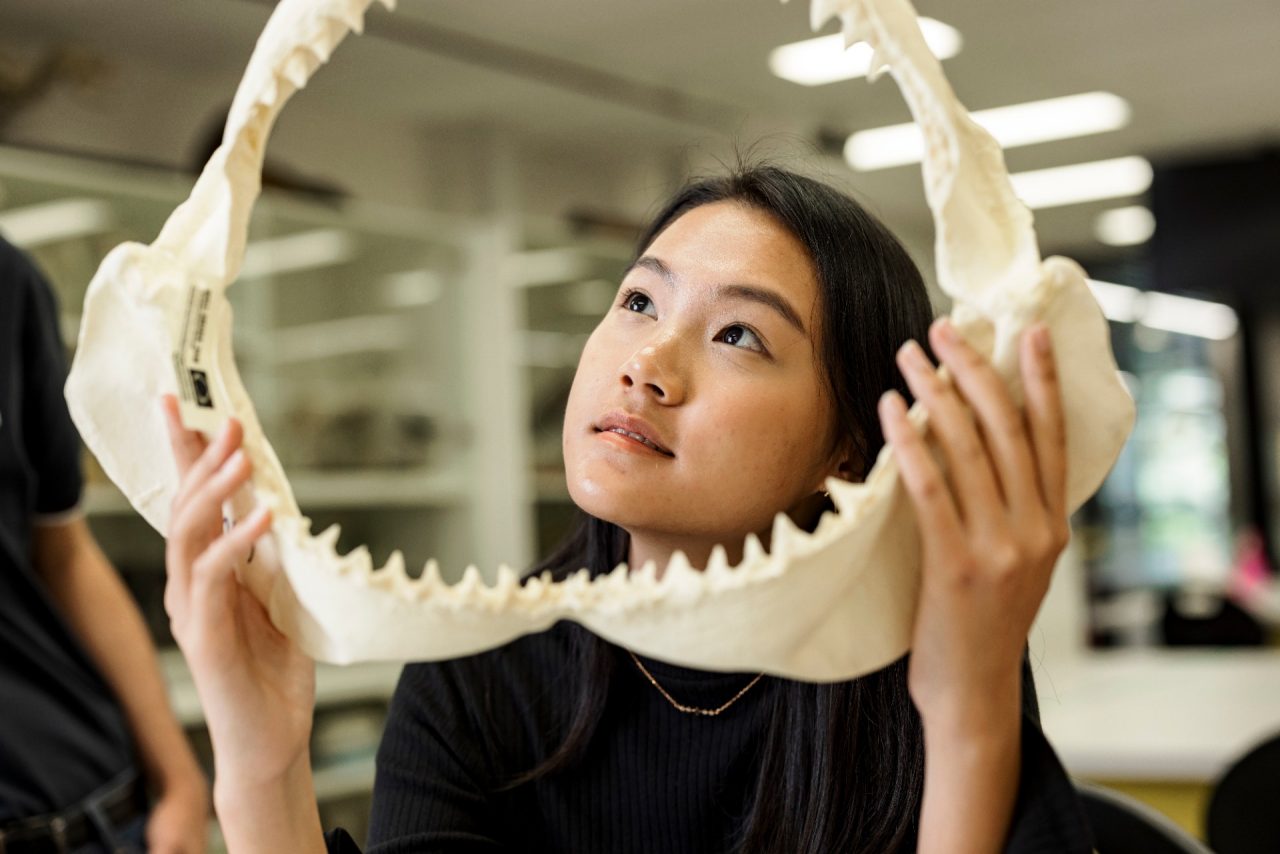 Students learning in the Science facilities at the UNSW Kensington campus